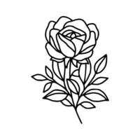 Vintage hand drawn rose floral and leaf branch vector line art illustration