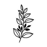 Vintage hand drawn foliage, leaf branch line art vector element