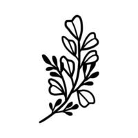 Vintage hand drawn foliage, leaf branch line art vector element