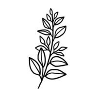 Vintage hand drawn foliage, leaf branch line art vector element