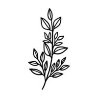 Vintage hand drawn foliage, leaf branch line art vector element