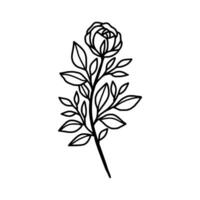 Vintage hand drawn rose floral and leaf branch vector line art illustration