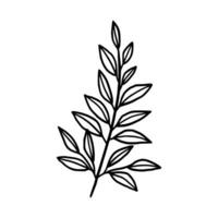 Vintage hand drawn foliage, leaf branch line art vector element