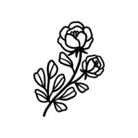 Vintage hand drawn peony flower line art vector element