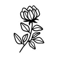 Vintage hand drawn peony flower line art vector element