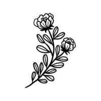 Vintage hand drawn peony flower line art vector element