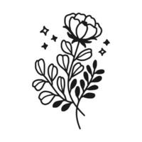 Vintage hand drawn peony flower line art vector element