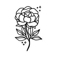 Vintage hand drawn line art peony flower and leaf branch vector