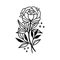 Vintage hand drawn line art peony flower and leaf branch vector