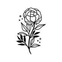 Vintage hand drawn line art peony flower and leaf branch vector