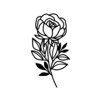 Vintage hand drawn rose floral and leaf branch vector line art illustration