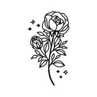 Hand drawn rose flower and leaf branch line art vector illustration design