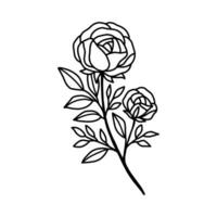 Hand drawn rose flower and leaf branch line art vector illustration design