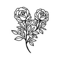 Hand drawn rose flower and leaf branch line art vector illustration design