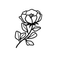 Vintage hand drawn peony and rose flower line art vector illustration element