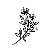 Vintage hand drawn peony and rose flower line art vector illustration element