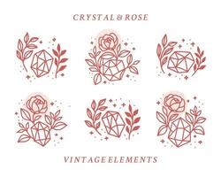 Collection of hand drawn magical elements with crystal, rose flowers, stars, leaf branch for feminine icon, beauty logo, emblem, and other purposes vector