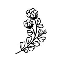 Vintage hand drawn peony and rose flower line art vector illustration element