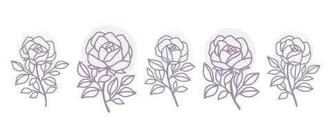 Vintage hand drawn rose flower logo element collection vector