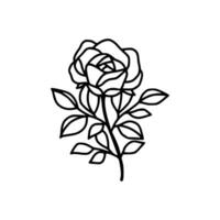 Hand drawn rose flower and leaf branch line art vector illustration design