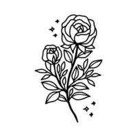 Hand drawn rose flower and leaf branch line art vector illustration design