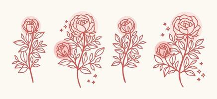 Vintage hand drawn rose flower logo element collection vector