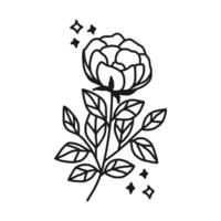 Vintage hand drawn peony flower line art vector element