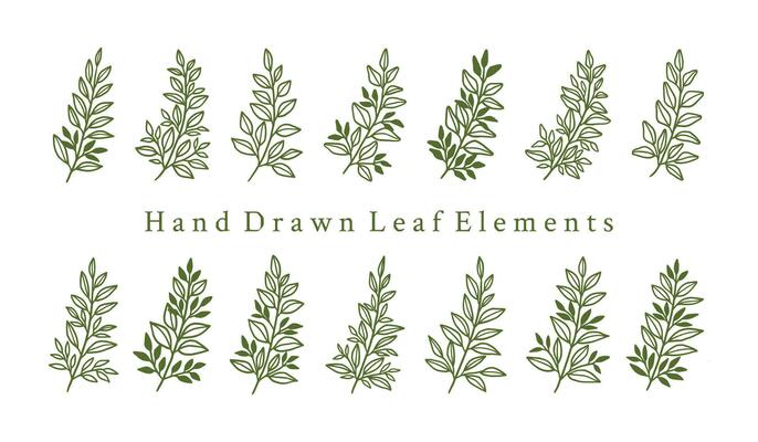 Vintage hand drawn leaf branch logo element collection