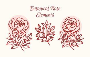 Vintage hand drawn rose flower logo element collection vector