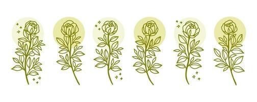 Vintage hand drawn rose flower logo element collection vector