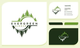 pine evergreen fir hemlock spruce conifer cedar coniferous cypress larch trees silhouette logo design and business card vector