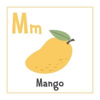 Mango clipart. Mango vector illustration cartoon flat style. Fruits start with letter M. Fruit alphabet card. Learning letter M card. Kids education. Cute mango vector design