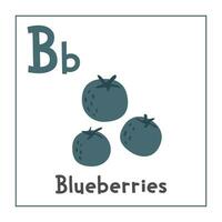 Blueberries clipart. Blueberries vector illustration cartoon flat style. Fruits start with letter B. Fruit alphabet card. Learning letter B card. Kids education. Cute blueberries vector design