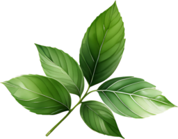 AI generated Exquisite Green Tea Leaf adn Branch PNG Collection, green leaves isolated on a white background, green leaves on a white background