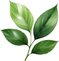 ai genererad utsökt grön te blad adn gren png samling, grön löv isolerat på en vit bakgrund, grön löv på en vit bakgrund