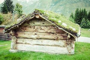 Typical Norwegian house with grass on the rooftop photo