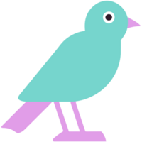 cute bird illustration png