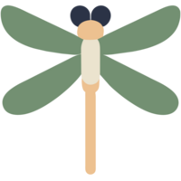 cute dragonfly illustration png