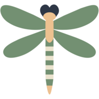 cute dragonfly illustration png