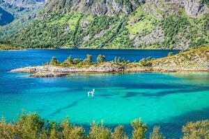 Beautiful landscape of Norway, Scandinavia photo