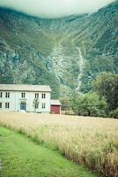 Beautiful valley, Troll Route, Norway photo