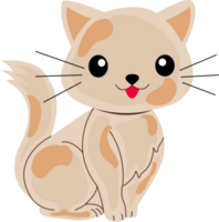 um gato fofo png