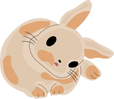 a cute rabbit png