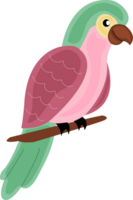 un oiseau mignon png