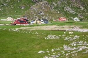 Casas coloridas tradicionales noruegas, islas Lofoten, Noruega foto