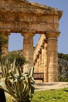 segesta archaeological site of ancient greece drills Sicily Italy photo