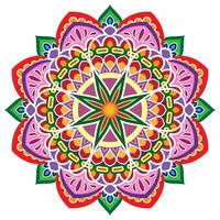 Mandala flower color vector image.