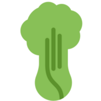 Celery illustration design png