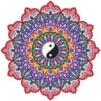 Mandala flower color vector image.