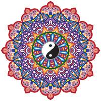 Mandala flower color vector image.